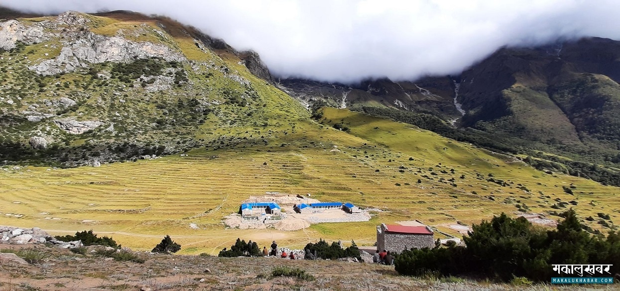 पालिकाभरिका बस्ती एकै ठाउँमा सार्दै नार्पाभूमि