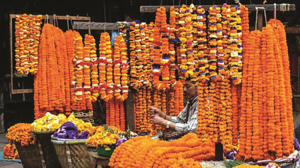 तिहारलाई ५० हजारभन्दा बढी सयपत्री फूलको माला आयात हुँदै