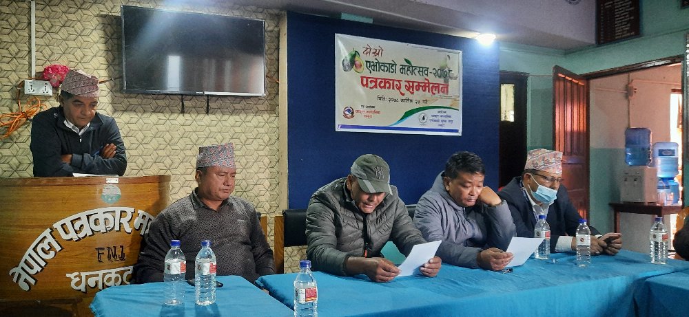 धनकुटामा दोस्रो एभोकाडो महोत्सव हुँदै