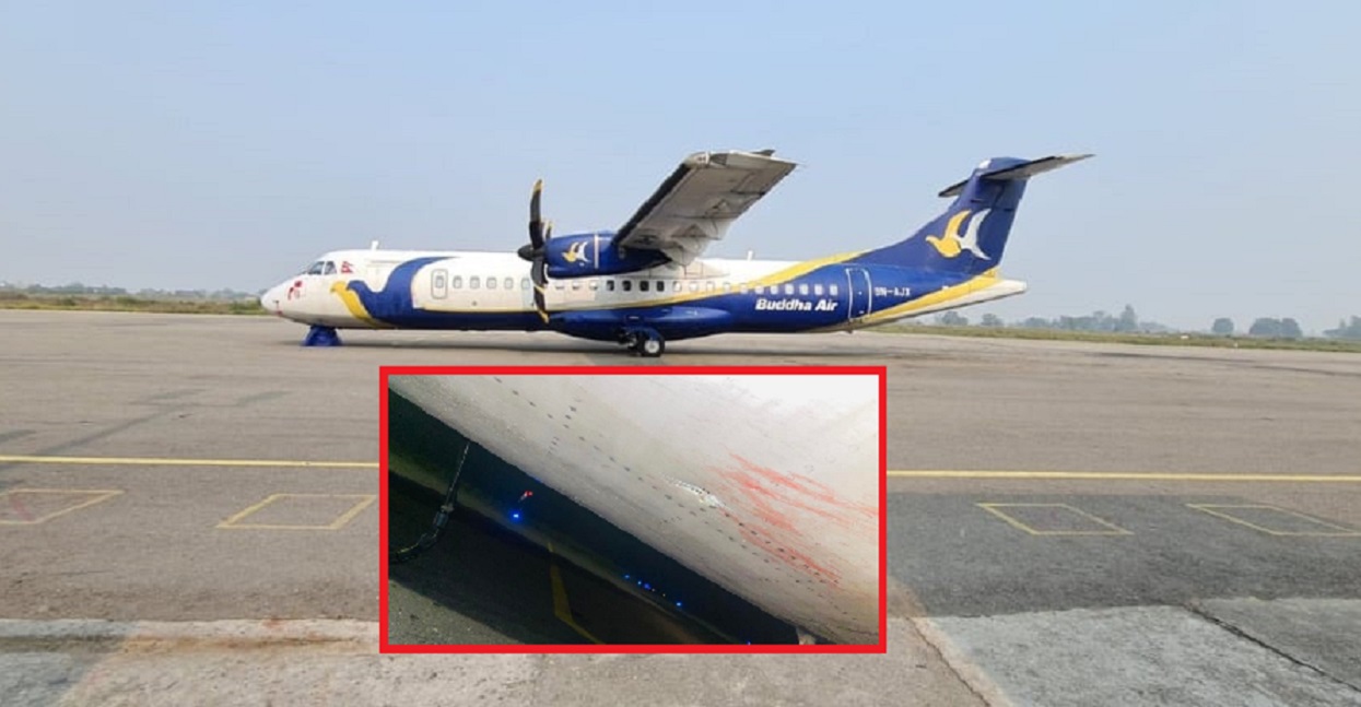 स्यालसँग ठोक्कियो बुद्ध एयरको जहाज