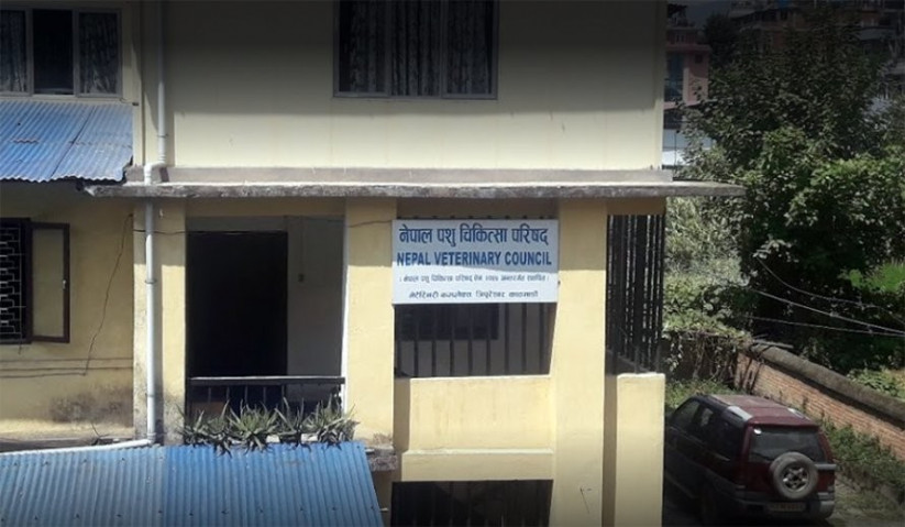 पशु चिकित्सा परिषद्को अध्यक्ष र सदस्यका लागि विज्ञापन खुल्यो