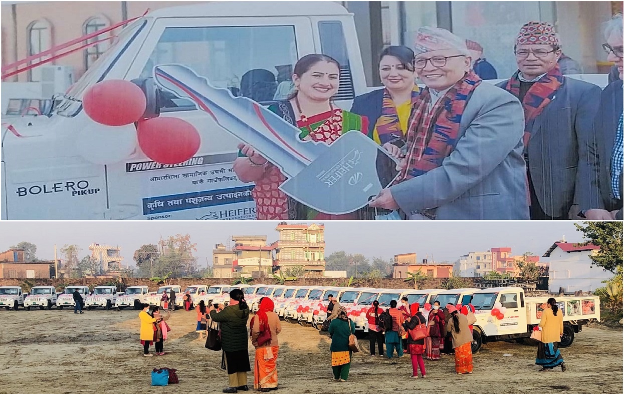 हेफर इन्टरनेसनलद्वारा ४७ थान महिन्द्रा बोलेराे पिकअप कृषि सहकारीलाई हस्तान्तरण