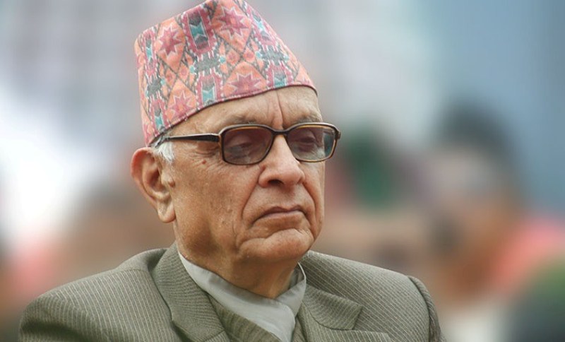 केन्द्रीय निर्देशन समितिको अध्यक्षमा डा लोहनी