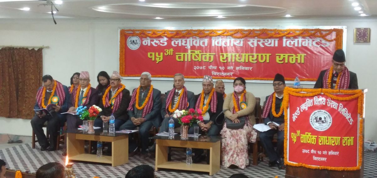 नेरुडेको मुनाफा १९ करोड