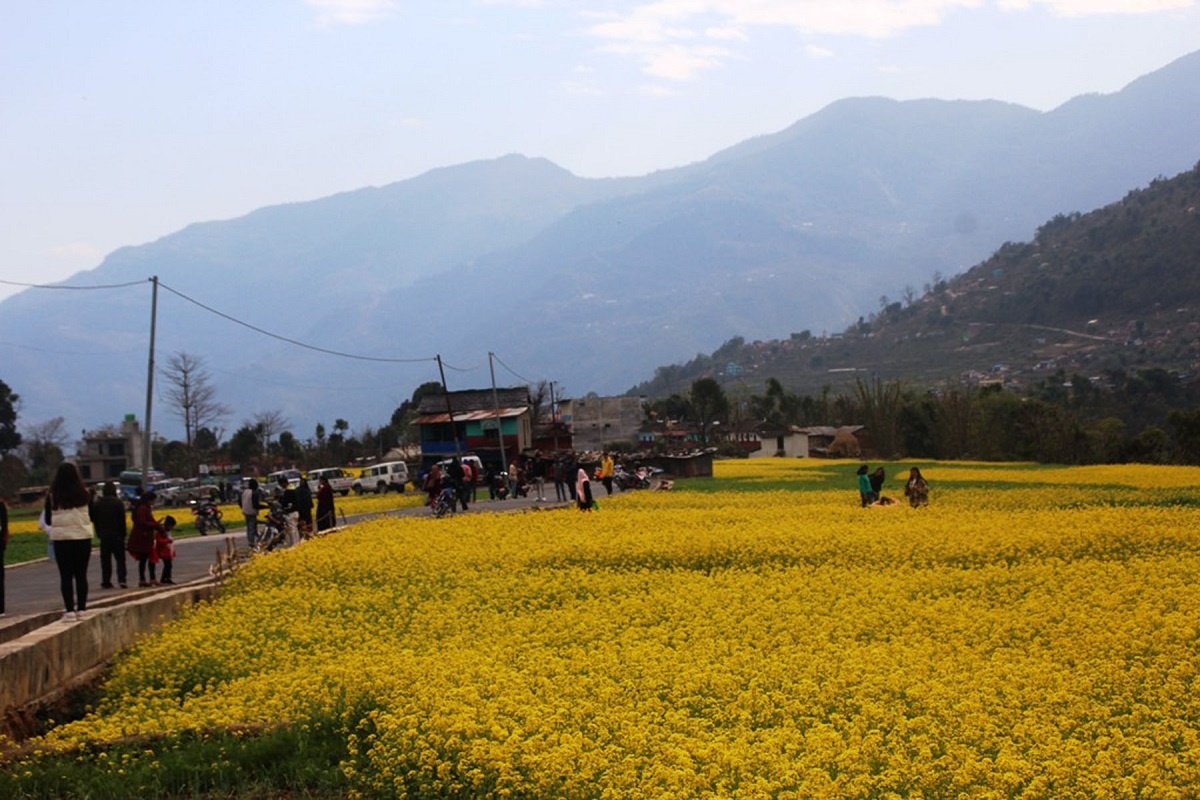 तोरीबारीमा टिकटक बनाउनेको भीड