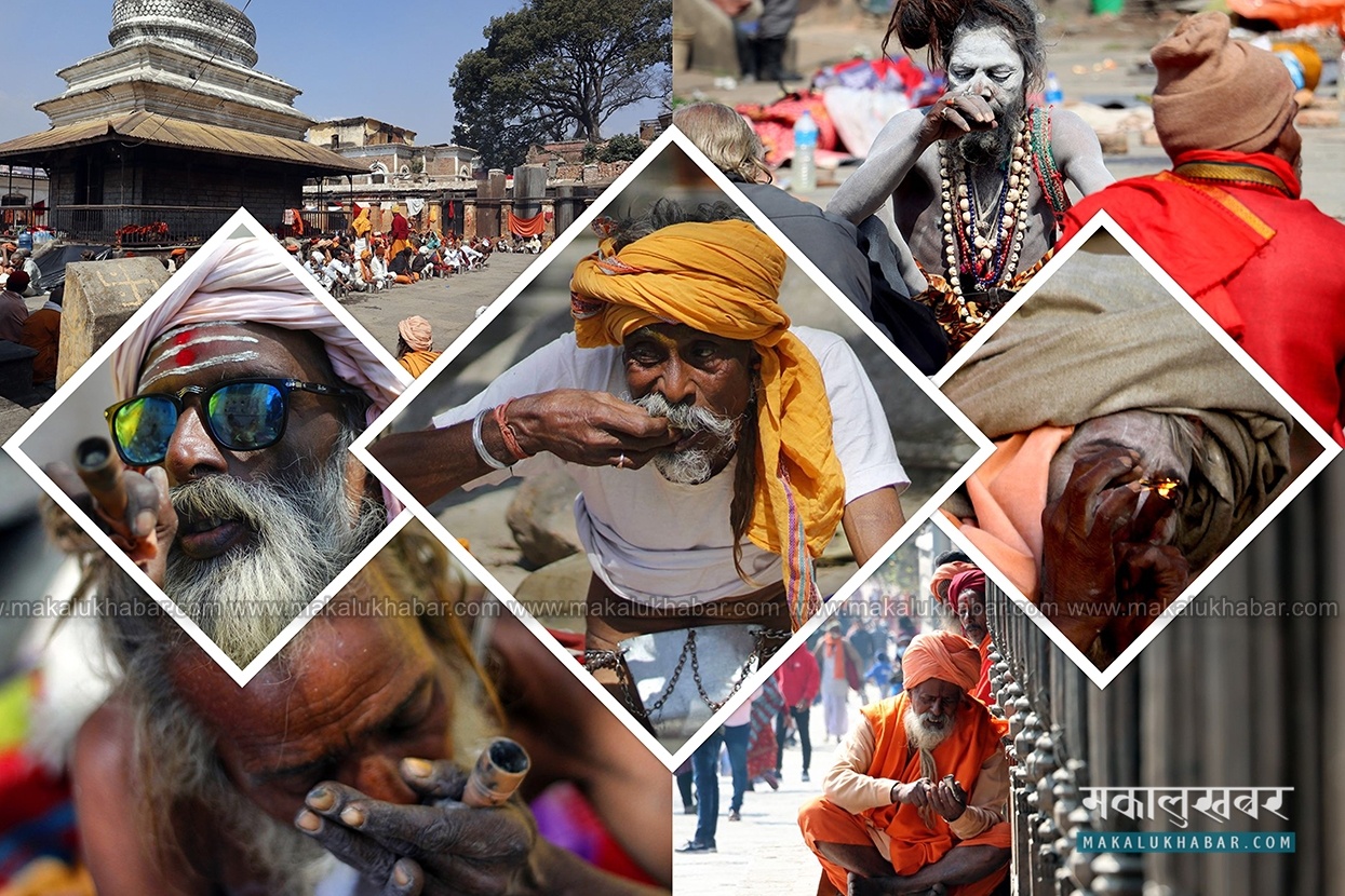 पशुपतिमा महाशिवरात्रिको चहलपहल (तस्बिरहरू)