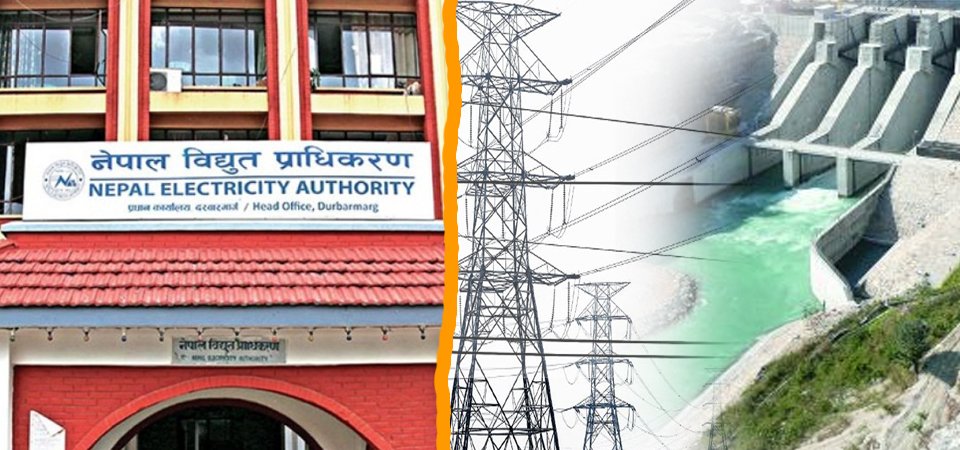 लुम्बिनीमा रुख ढल्दा कर्णालीमा विद्युत् सेवा अवरुद्ध