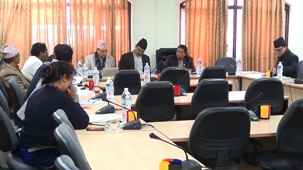 संसदीय समितिले पेट्रोलियम पदार्थको मूल्यबारे अध्ययन गर्ने