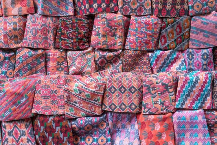 पाल्पाली ढाकाको अन्तर्राष्ट्रिय ‘ब्रान्डिङ’ गरिँदै