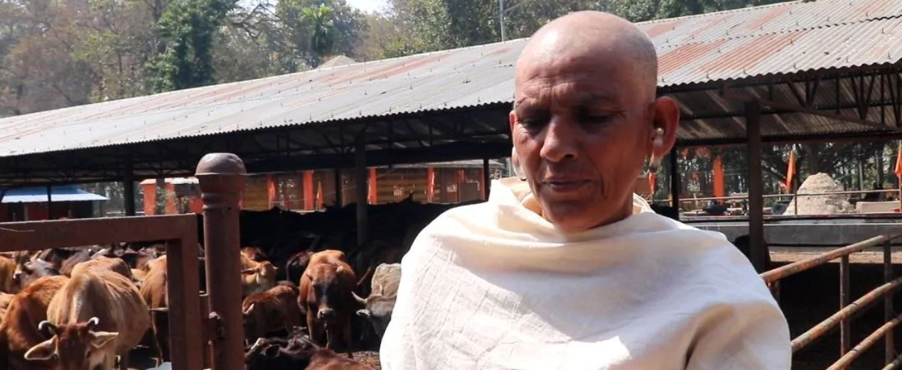 गाईको शोकमा किरिया…