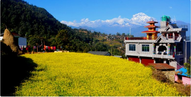 वैशाख ८ गते : कुन-कुन प्रदेशमा छ बदली र वर्षाको सम्भावना ?