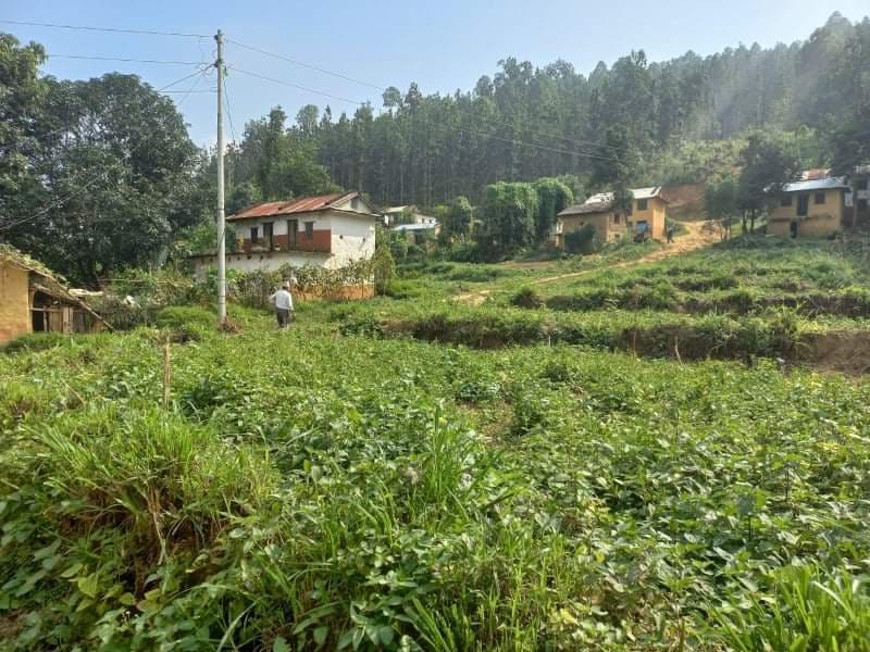 पठान टोलमा पुगेन राज्यको आधारभूत सेवा !
