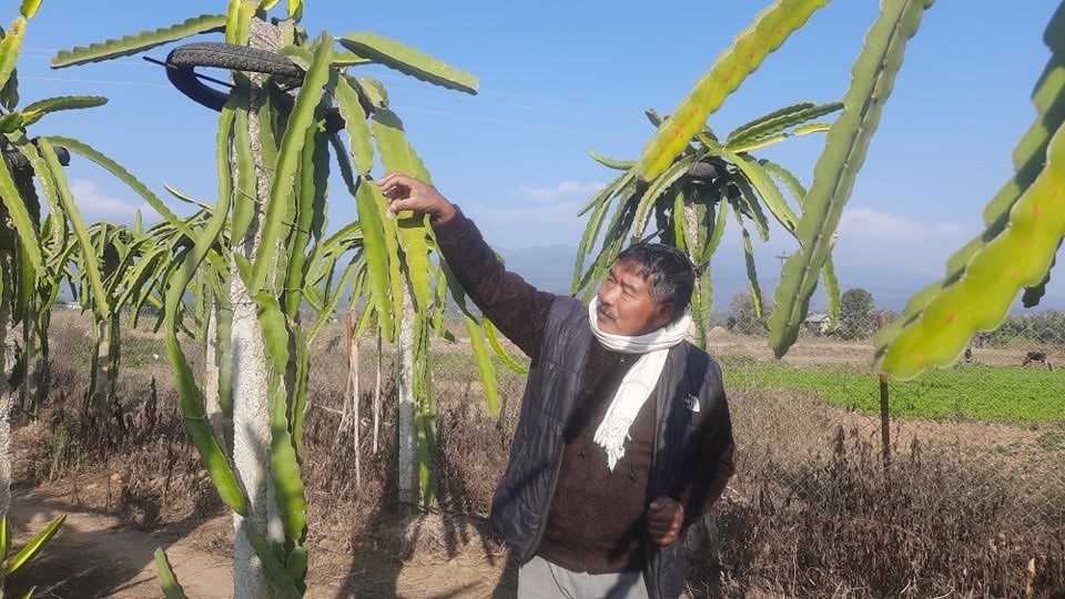 राजनीति छाेडेर किसान बनेका पूर्वमन्त्री विष्ट