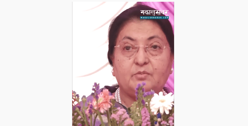 ‘जनताका दैनिक आवश्यकताहरूकाे सम्बाेधन नै लाेकतन्त्रकाे संस्थागत हाे’ (भिडिओसहित)