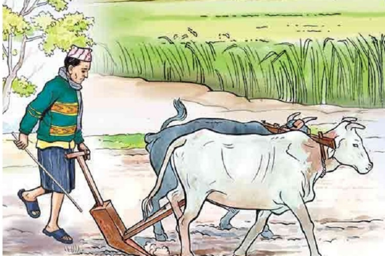 किसान महासंघले गर्यो बजेटको स्वागत