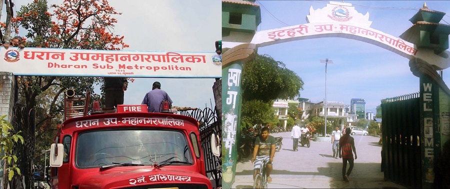 धरानको मेयरमा एमालेबाट ११ सिफारिस, इटहरीमा आधा दर्जन (सूचीसहित)