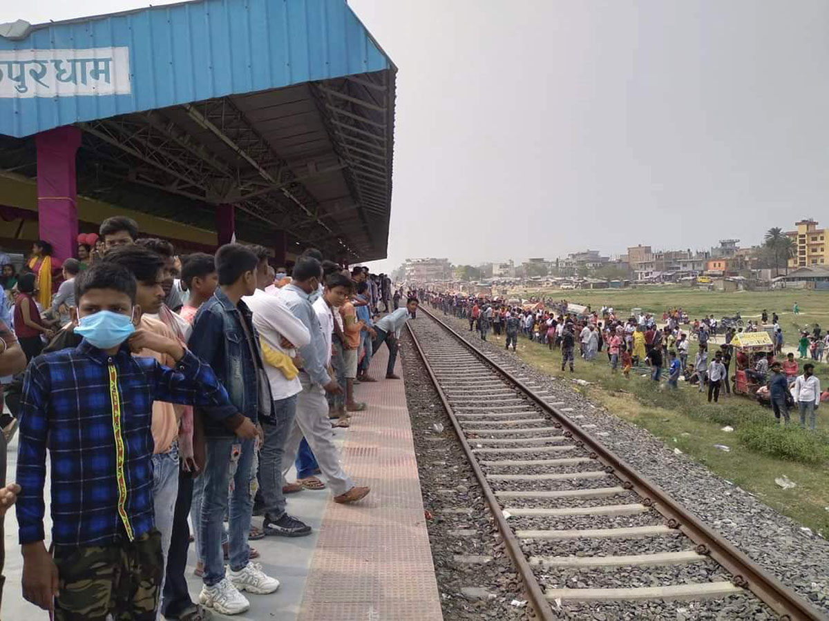 रेल हेर्नेको घुइँचो