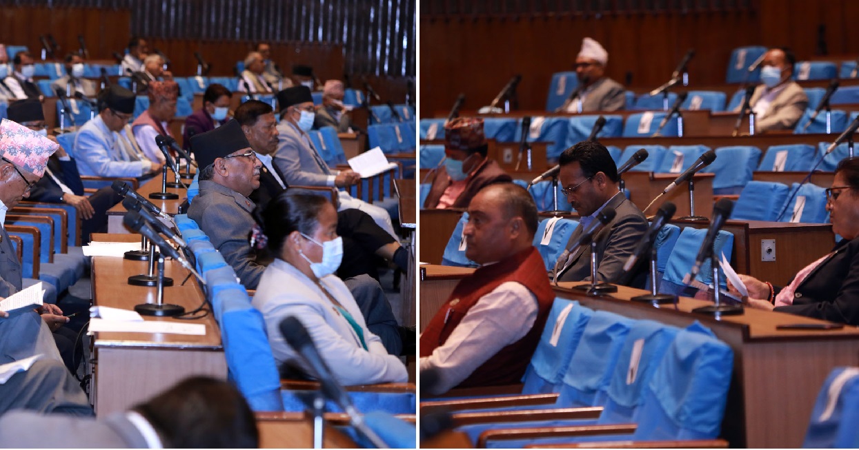 संसदमा १७ सांसदकाे जाेड : आत्मनिर्भर अर्थतन्त्रकाे विकास