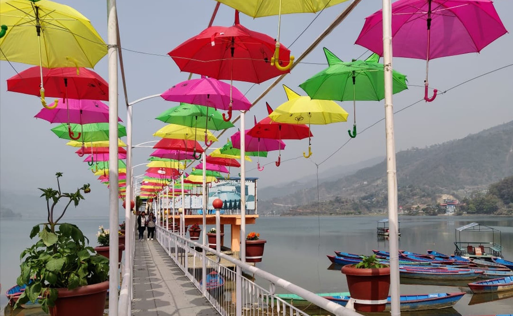 २० करोडको छाता नेपाल भित्रियो, कुन-कुन देशबाट आउँछ छाता ?