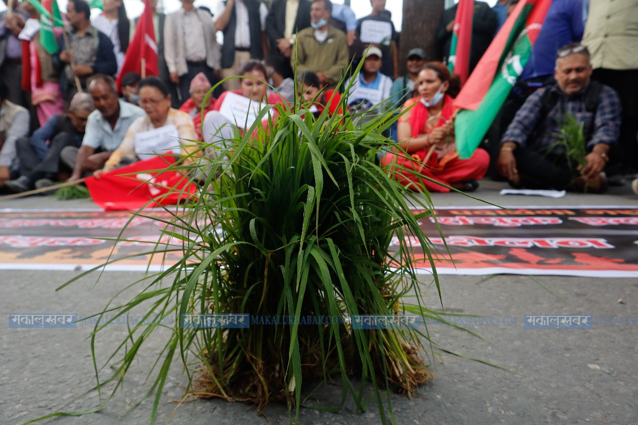 माइतीघरमा किसानहरूको सरकारविरोधी प्रदर्शन (फोटोफिचर)