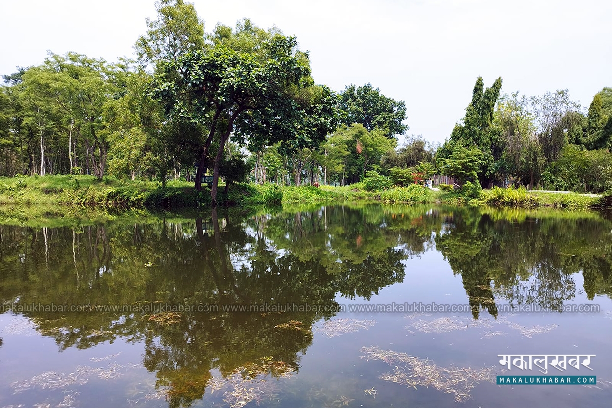 मनै लोभ्याउने तालतलैया (तस्बिरहरू)