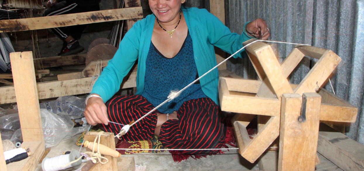 ताप्लेजुङमा अल्लोको धागोबाट कपडा उत्पादन गर्दै महिलाहरू