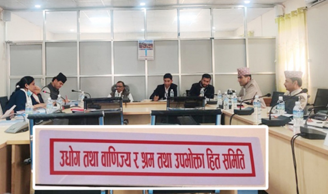 पेट्रोलियममा लगाइएको कर आधा घटाउन संसदीय समितिको निर्देशन