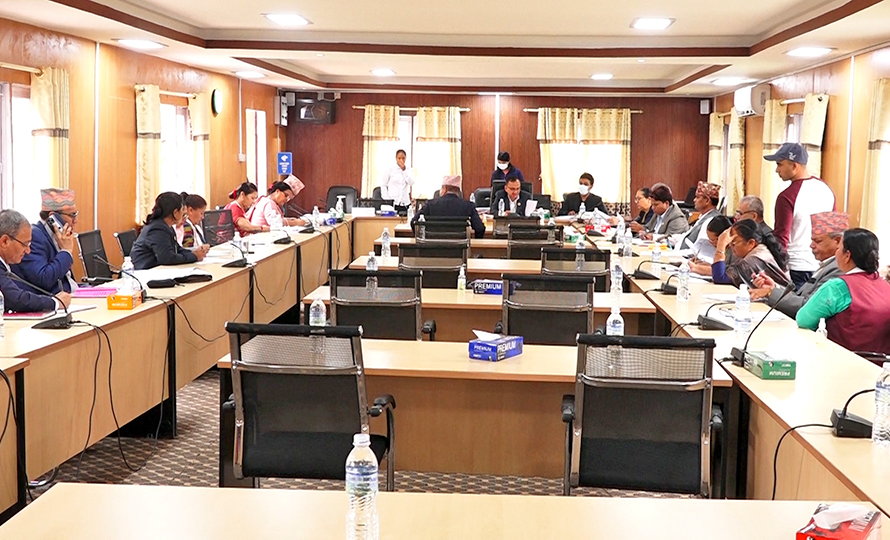 बलात्कारका मुद्दामा बढ्याे हदम्याद