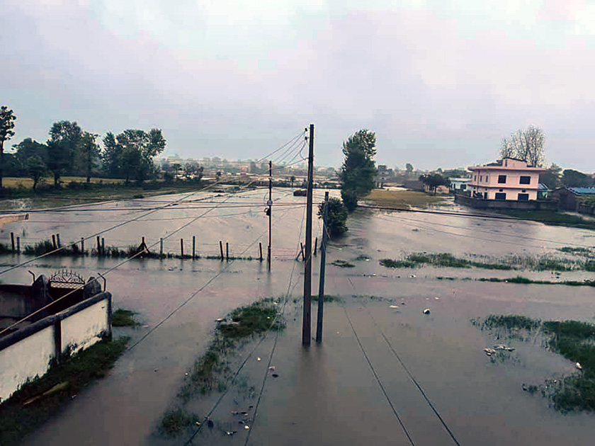कैलालीका बाढीपीडित किसानलाई राहत रकम हस्तान्तरण सुरु