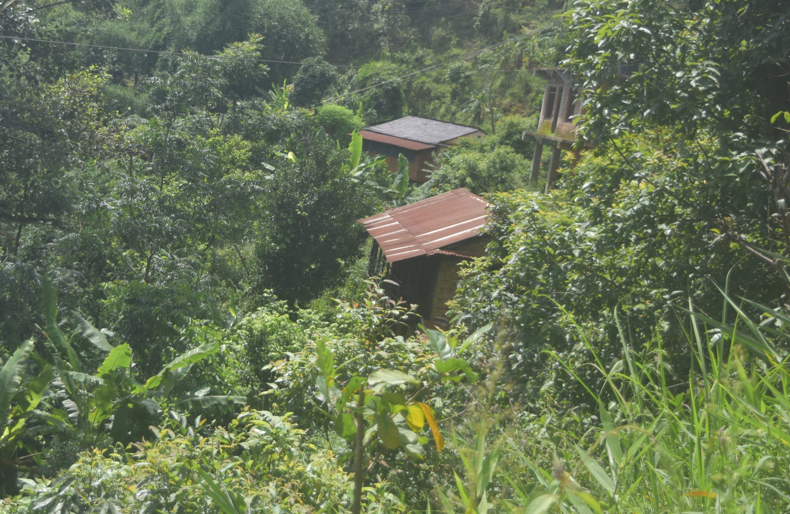 पहिराको त्रासले गाउँ रित्तियो, बसाइँसराइलाई रोक्नुपर्ने स्थानीयवासीको माग