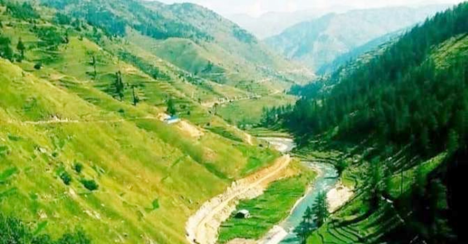 हिमा नदीका असला माछाको संरक्षण गरिँदै