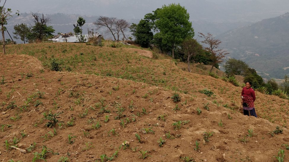महिलाका नाममा जग्गा लिखत गराउने सङ्ख्या घट्यो