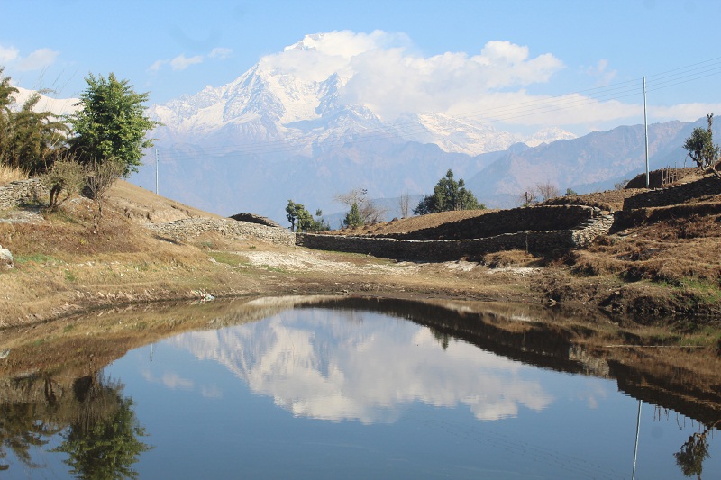निस्कोट बराह ताल : जसको सरसफाइ चराले गर्छन्