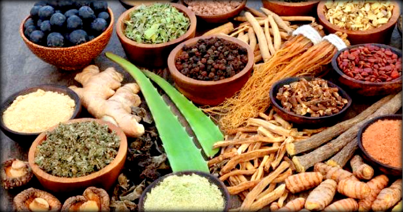 आयुर्वेदिक औषधिले ढिलो काम गर्छ – विश्वास कि भ्रम ?
