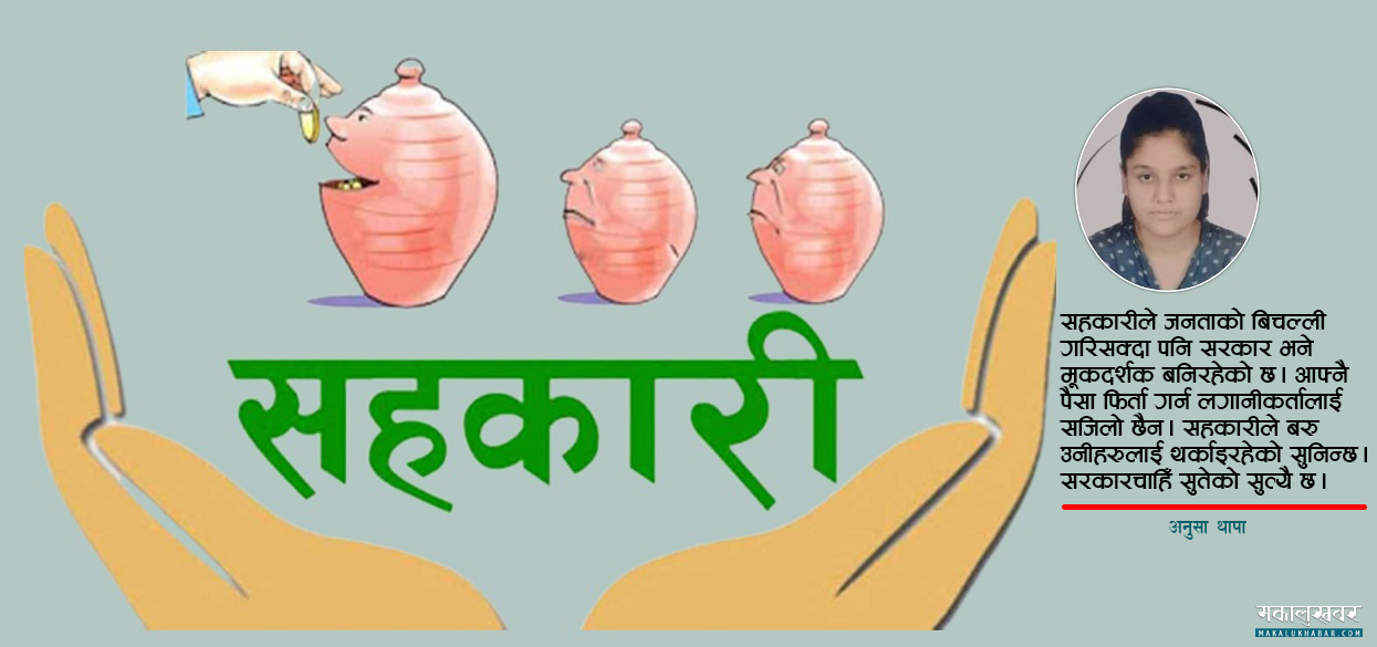 सुइँकुच्चा ठाेक्दै सहकारी, बचतकर्ताका पुर्पुराेमा हात !