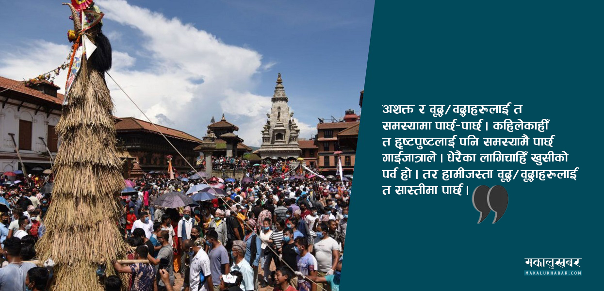 गाईजात्रा : कसैका लागि हर्ष, कसैका लागि पीडा ! (भिडिओसहित)