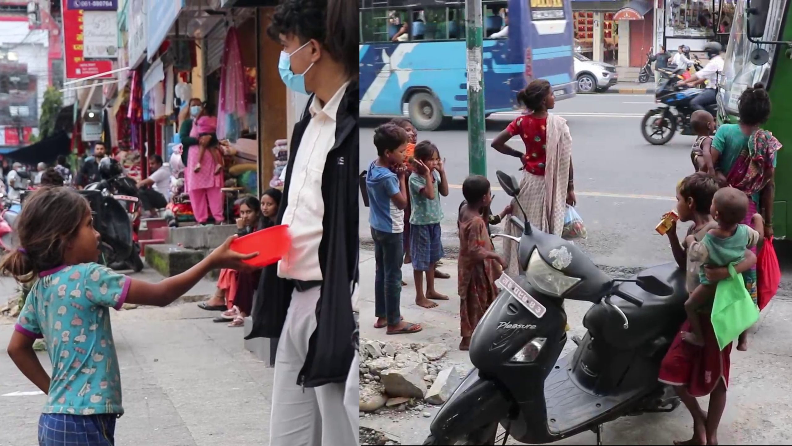 भारतीय मगन्तेका कारण कुरूप बन्दै पोखरा, पर्यटनमा नकारात्मक असर