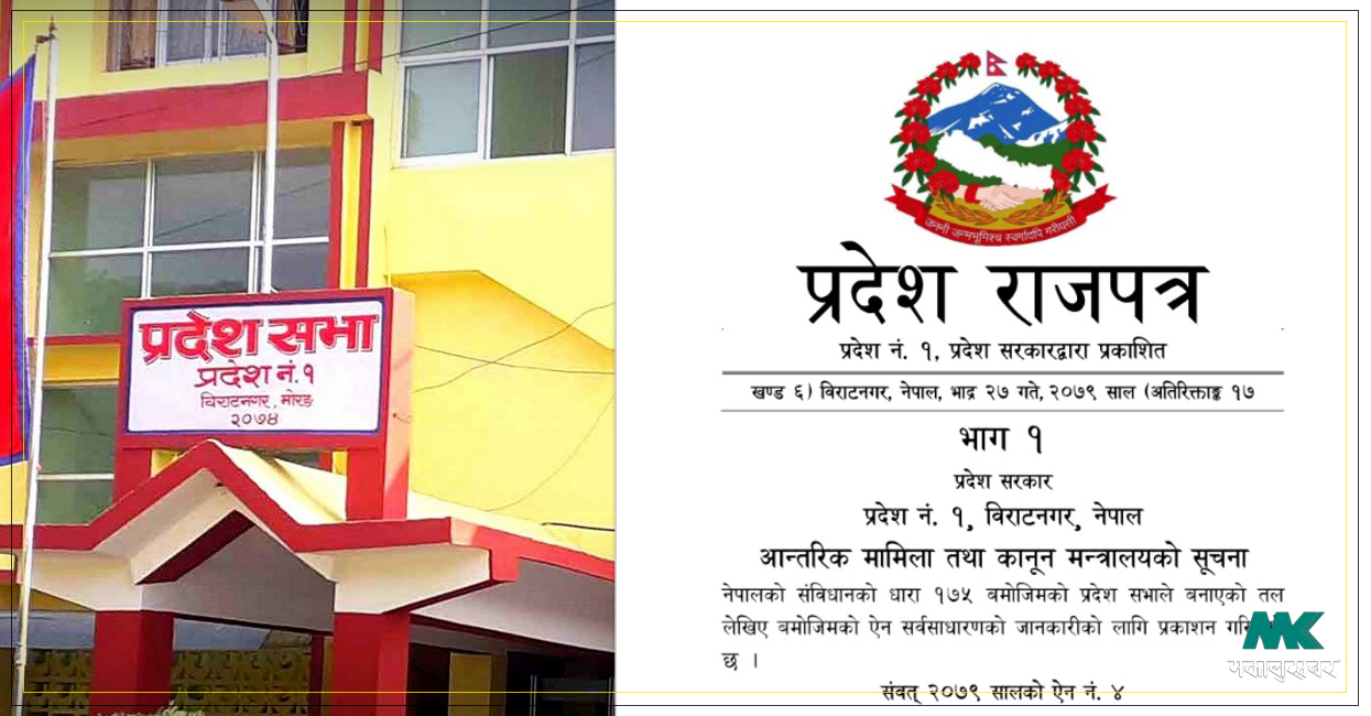 प्रदेश नं. १ को प्रज्ञा प्रतिष्ठानको व्यवस्था गर्न बनेको ऐन विवादमा, लेखक-कलाकारले स्वीकारेनन्