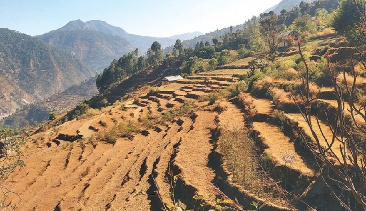 खेतीयोग्य जमिन बाँझै, बर्सेनि खाद्यान्न अभाव