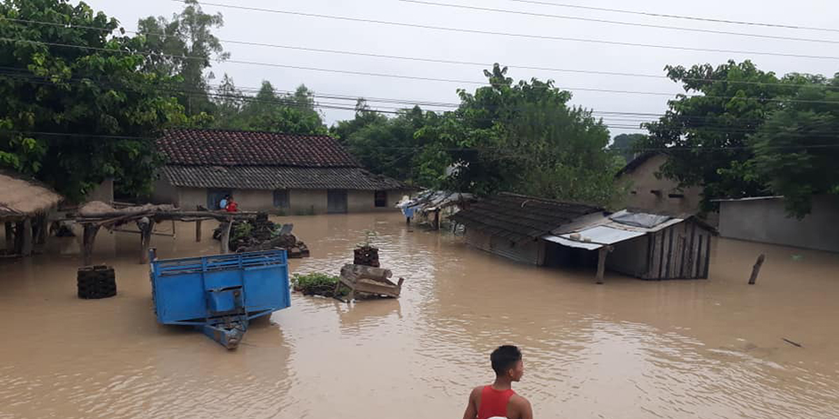 कञ्चनपुरमा ३०० घर डुबान
