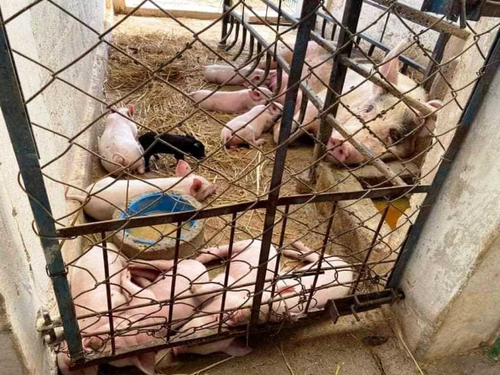 भोजपुरको पौवादुङमामा २१ फर्मलाई ६० लाख सहयोग