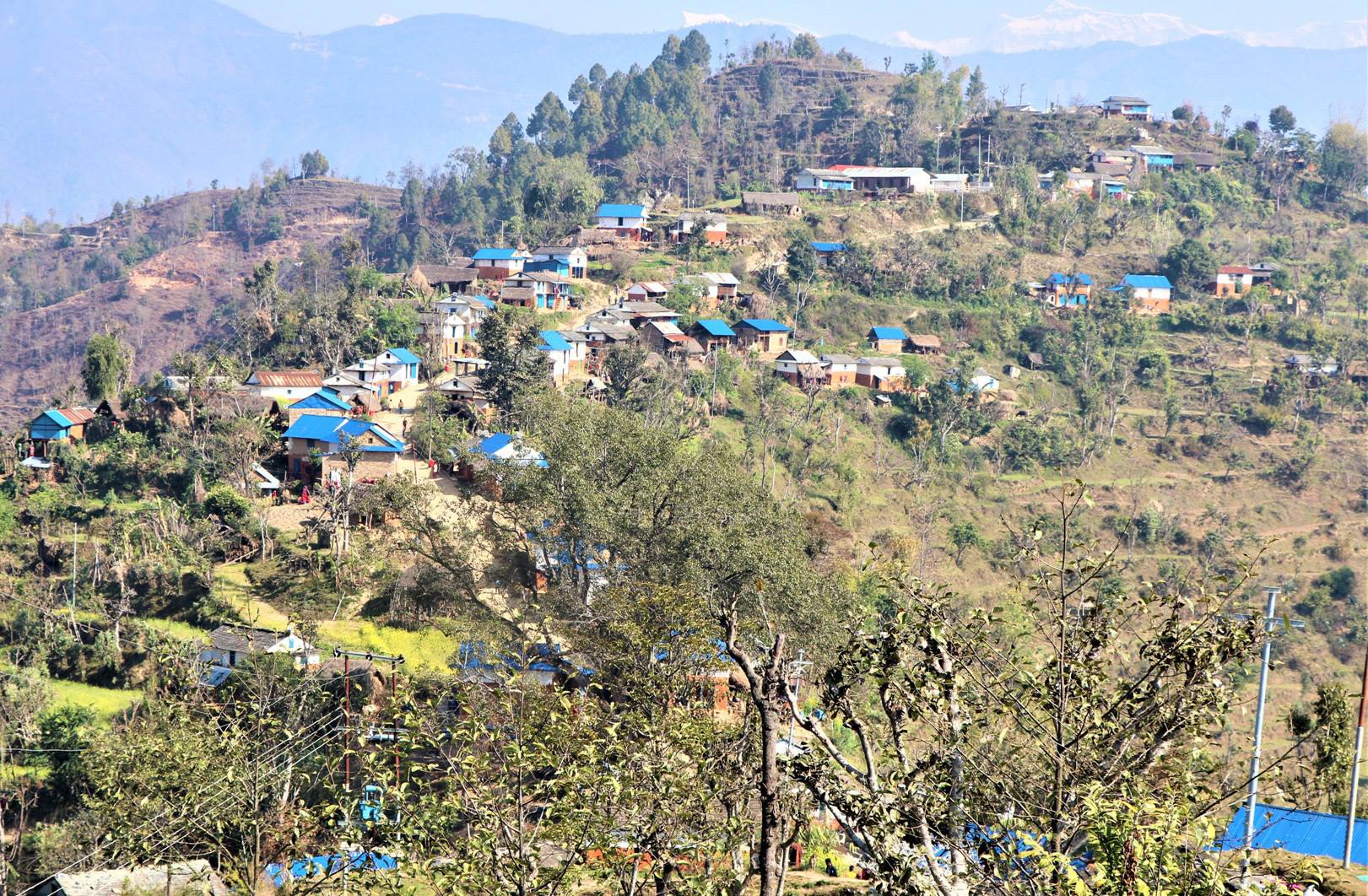 दलित बस्तीमा भोट तान्ने होडबाजी, विकासे योजना नभई नगद र जिन्सी बोकेर छिर्छन् उम्मेद्वार