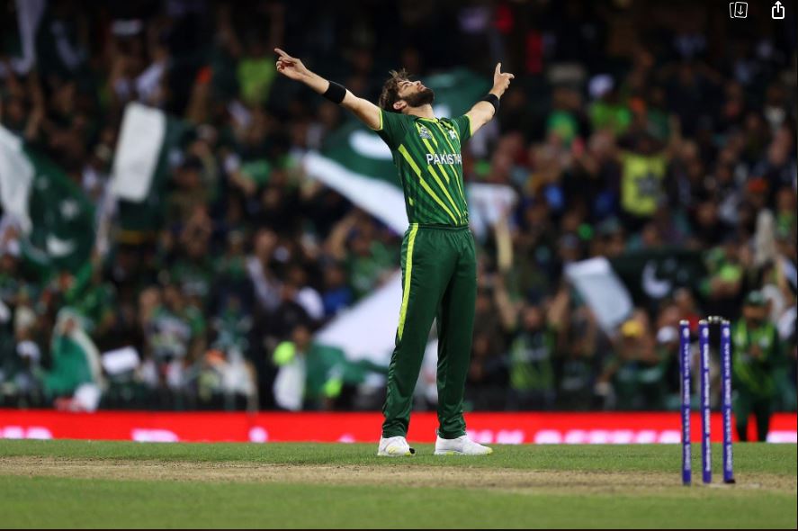 न्युजिल्याण्डलाई ७ विकेटले पराजित गर्दै पाकिस्तान टी २० विश्वकपको फाइनलमा