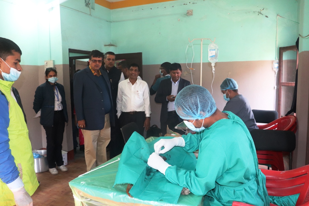 विराटनगरमा कुकुरको बन्ध्याकरण शुरु, १ हजार ६ सयको बन्ध्याकरण गरिने
