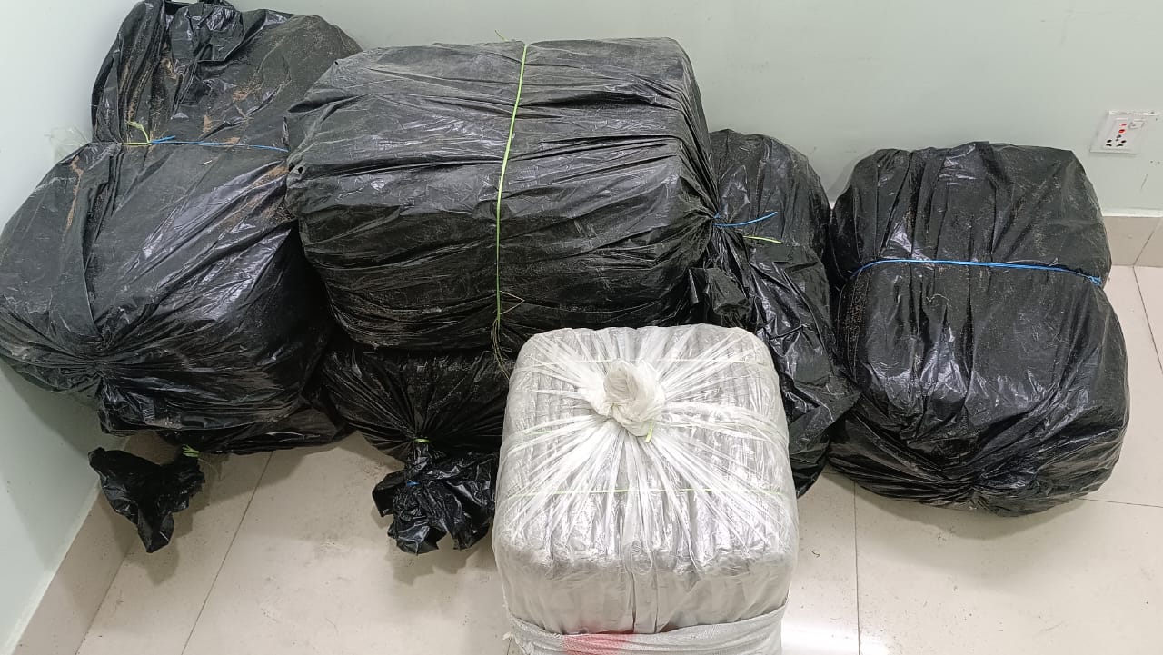 लागुऔषध गाँजा बोकेको पिकअपसहित २ जना पक्राउ