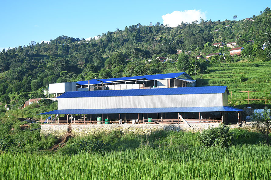 पशुपालनका निम्ति गोठ निर्माण गर्न अनुदान