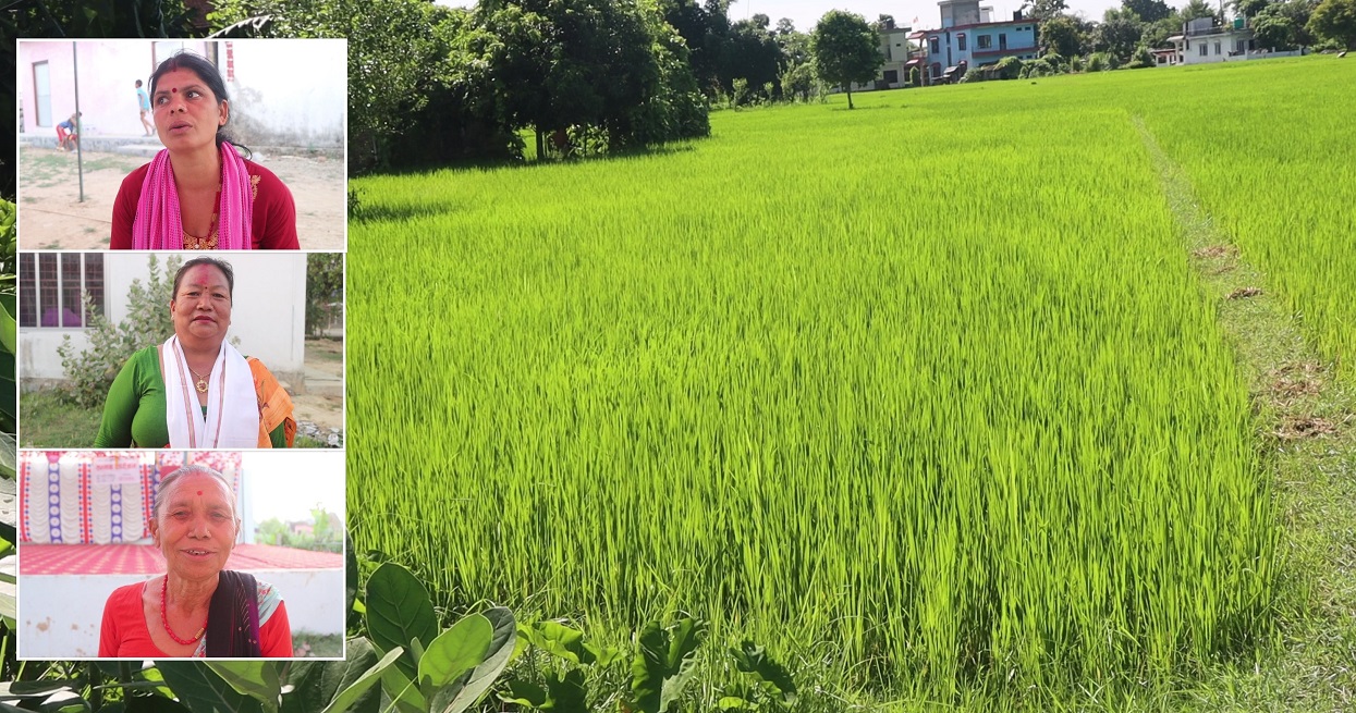लालपुर्जा फुकुवा भएसँगै फर्किएको खुसी (तस्बिरहरू)