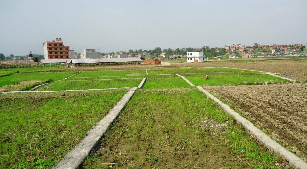 शेयर र घरजग्गा कारोबारमा तिर्नुपर्ने पुँजीगत लाभकर बढ्यो