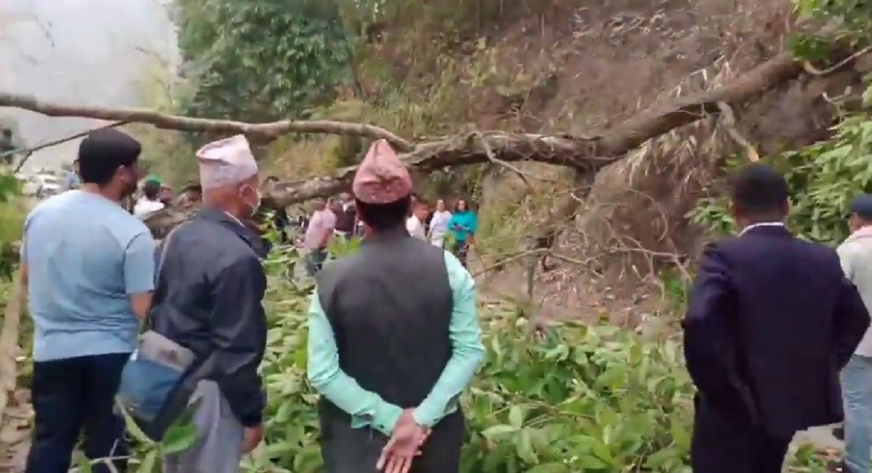 ओलीलाई लक्षित गरी इलाममा रुख ढालेर सडक अवरुद्ध, कार्यक्रम बिथोल्न खोज्ने १३ जना पक्राउ