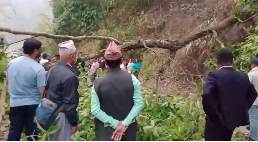 ओलीलाई लक्षित गरी इलाममा रुख ढालेर सडक अवरुद्ध, कार्यक्रम बिथोल्न खोज्ने १३ जना पक्राउ